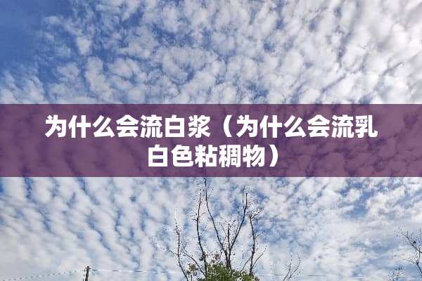 为什么会流白浆（为什么会流*白色粘稠物）