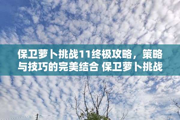 保卫萝卜挑战11终极攻略，策略与技巧的完美结合 保卫萝卜挑战11攻略