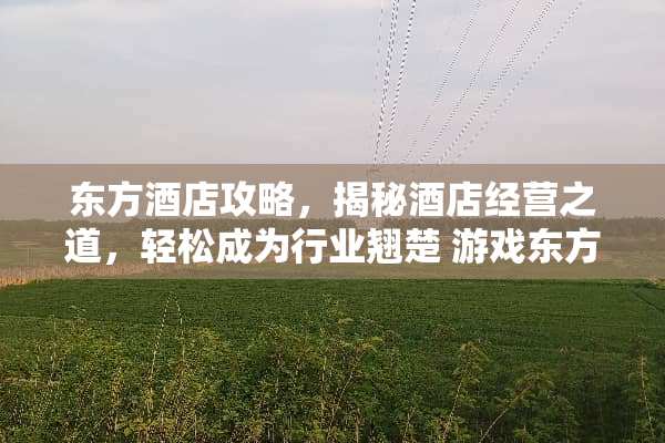 东方酒店攻略，揭秘酒店经营之道，轻松成为行业翘楚 游戏东方酒店攻略