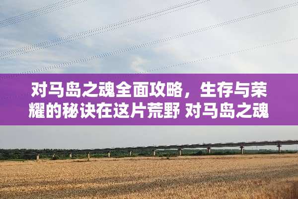 对马岛之魂全面攻略，生存与荣耀的秘诀在这片荒野 对马岛之魂游戏攻略