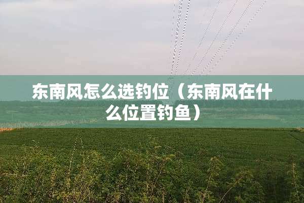 东南风怎么选钓位（东南风在什么位置钓鱼）