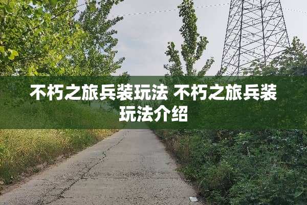 不朽之旅兵装玩法 不朽之旅兵装玩法介绍