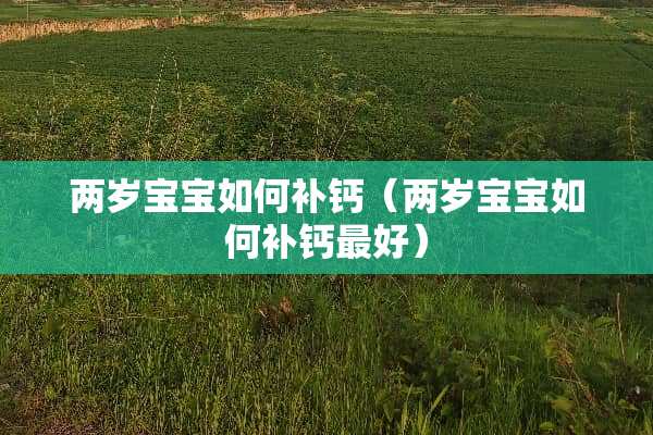两岁宝宝如何补钙（两岁宝宝如何补钙最好）
