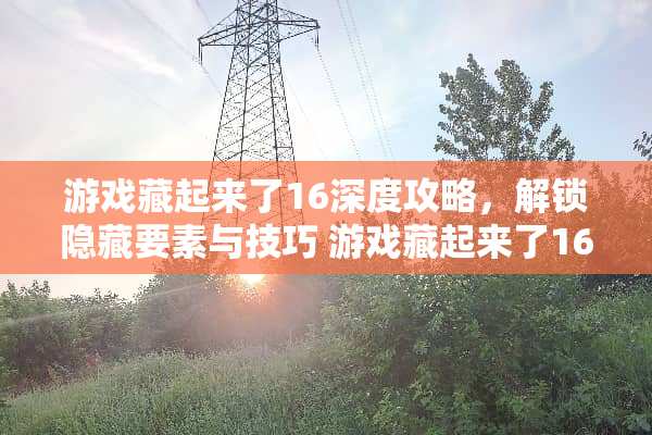 游戏藏起来了16深度攻略，解锁隐藏要素与技巧 游戏藏起来了16攻略