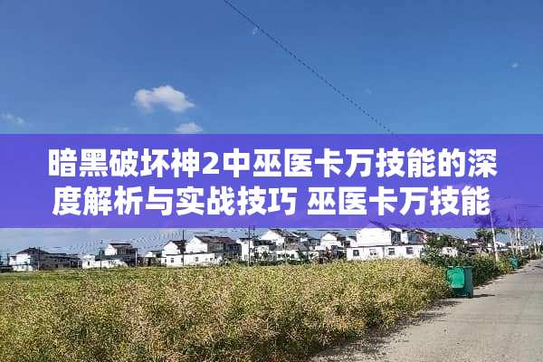 暗黑破坏神2中巫医卡万技能的深度解析与实战技巧 巫医卡万技能