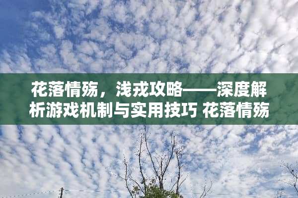 花落情殇，浅戎攻略——深度解析游戏机制与实用技巧 花落情殇游戏浅戎攻略