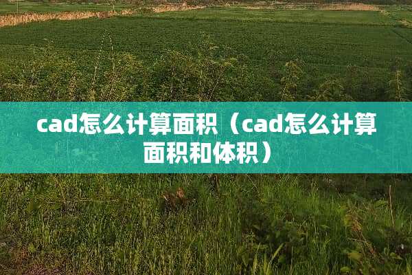 cad怎么计算面积（cad怎么计算面积和体积）