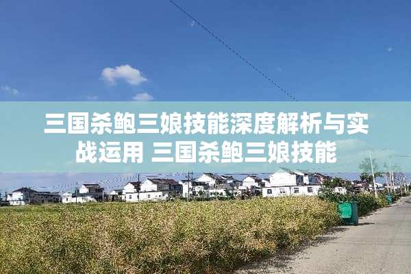 三国杀鲍三娘技能深度解析与实战运用 三国杀鲍三娘技能