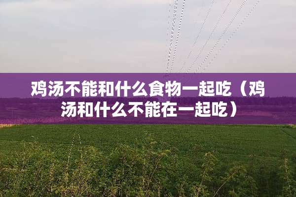 鸡汤不能和什么食物一起吃（鸡汤和什么不能在一起吃）