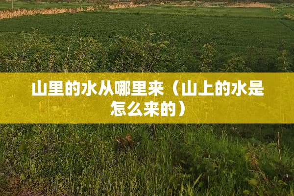 山里的水从哪里来（山上的水是怎么来的）