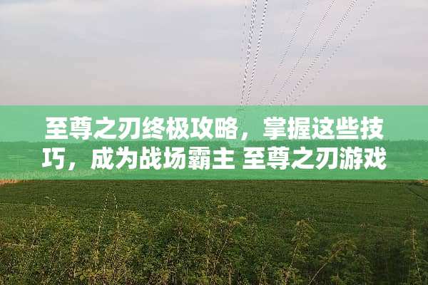 至尊之刃终极攻略，掌握这些技巧，成为战场霸主 至尊之刃游戏攻略