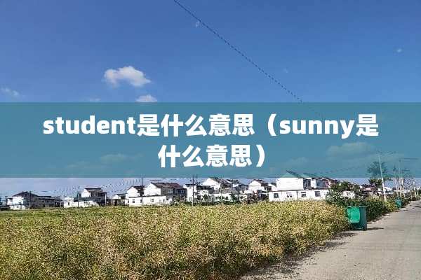 student是什么意思（sunny是什么意思）
