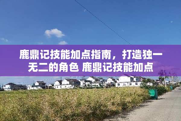 鹿鼎记技能加点指南，打造独一无二的角色 鹿鼎记技能加点