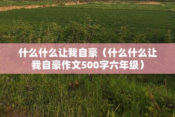 什么什么让我自豪（什么什么让我自豪作文500字六年级）