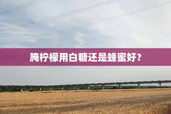 腌柠檬用白糖还是蜂蜜好？
