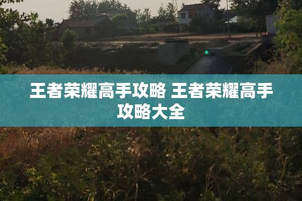 王者荣耀高手攻略 王者荣耀高手攻略大全 王者荣耀高手攻略 王者荣耀高手攻略大全