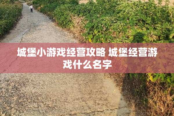 城堡小游戏经营攻略 城堡经营游戏什么名字
