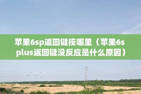 苹果6sp返回键按哪里（苹果6s plus返回键没反应是什么原因）