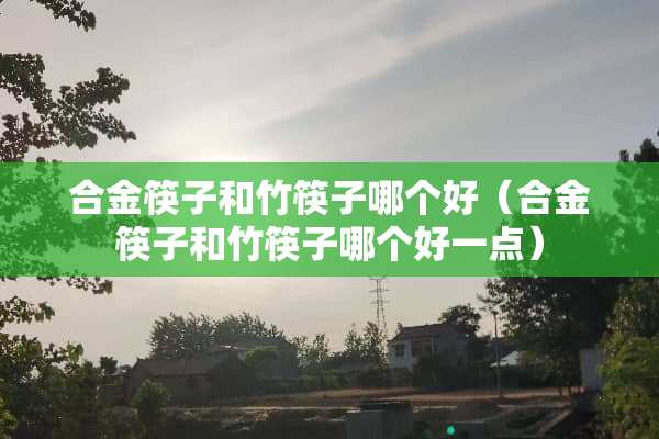 合金筷子和竹筷子哪个好（合金筷子和竹筷子哪个好一点）