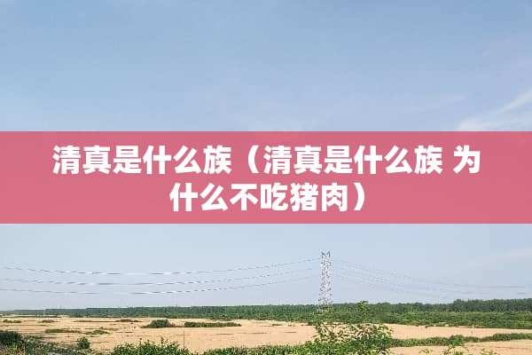 清真是什么族（清真是什么族 为什么不吃猪肉）