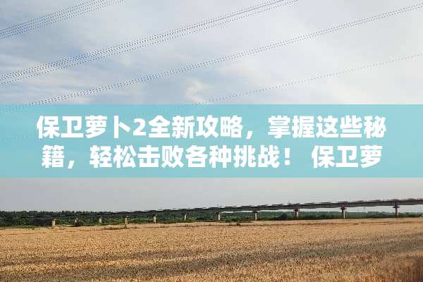 保卫萝卜2全新攻略，掌握这些秘籍，轻松击败各种挑战！ 保卫萝卜2攻略86