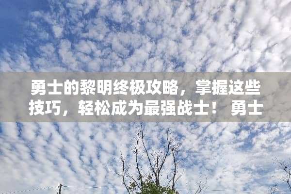 勇士的黎明终极攻略，掌握这些技巧，轻松成为最强战士！ 勇士的黎明攻略