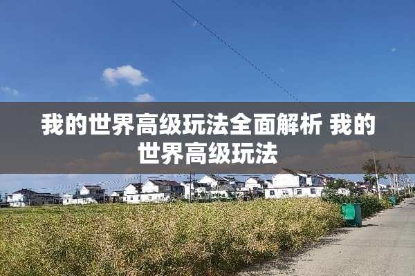我的世界高级玩法全面解析 我的世界高级玩法
