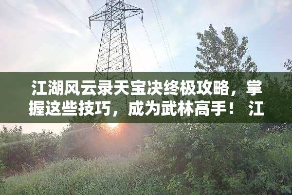 江湖风云录天宝决终极攻略，掌握这些技巧，成为武林高手！ 江湖风云录天宝决攻略
