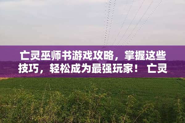 亡灵巫师书游戏攻略,掌握这些技巧,轻松成为最强玩家! 亡灵巫师书小游戏攻略 亡灵巫师书游戏攻略,掌握这些技巧,轻松成为最强玩家! 亡灵巫师书小游戏攻略