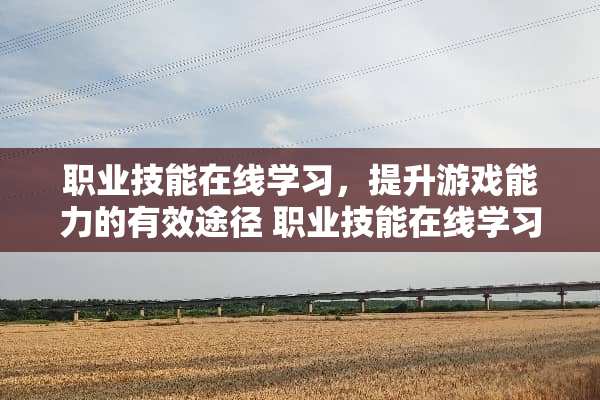 职业技能在线学习，提升游戏能力的有效途径 职业技能在线学习