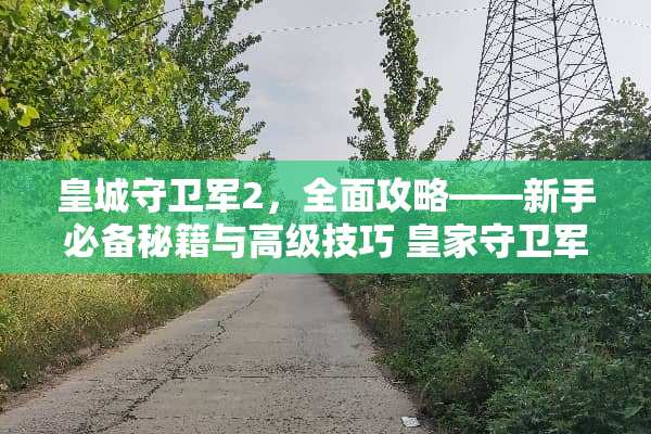 皇城守卫军2，全面攻略——新手必备秘籍与高级技巧 皇家守卫军2攻略