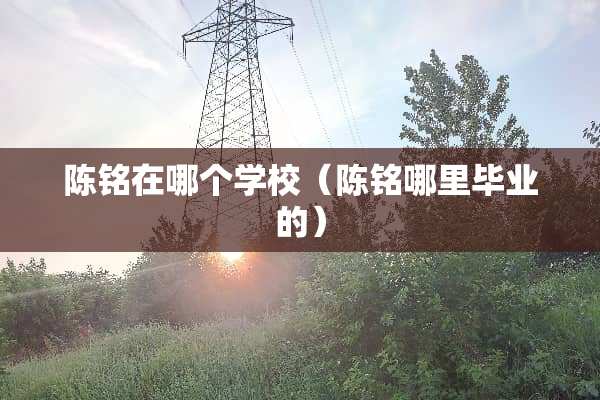 陈铭在哪个学校（陈铭哪里毕业的）