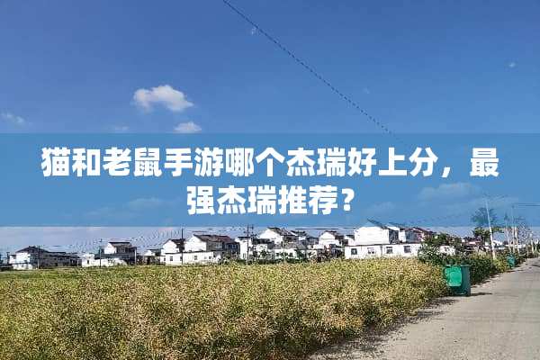 猫和老鼠手游哪个杰瑞好上分，最强杰瑞推荐？