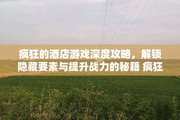 疯狂的酒店游戏深度攻略，解锁隐藏要素与提升战力的秘籍 疯狂的酒店游戏攻略