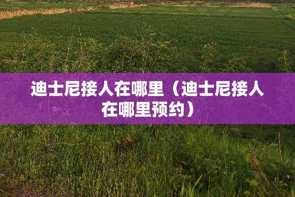 迪士尼接人在哪里（迪士尼接人在哪里预约）