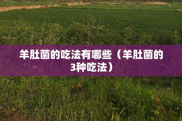 羊肚菌的吃法有哪些（羊肚菌的3种吃法）
