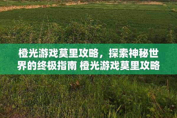 橙光游戏莫里攻略，探索神秘世界的终极指南 橙光游戏莫里攻略