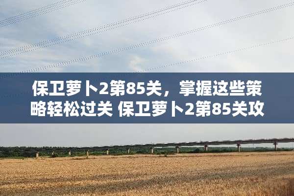 保卫萝卜2第85关，掌握这些策略轻松过关 保卫萝卜2第85关攻略