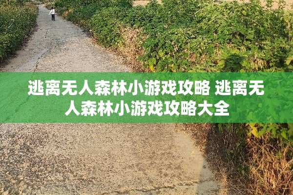 逃离无人森林小游戏攻略 逃离无人森林小游戏攻略大全