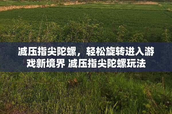 减压指尖陀螺,轻松旋转进入游戏新境界 减压指尖陀螺玩法 减压指尖陀螺,轻松旋转进入游戏新境界 减压指尖陀螺玩法