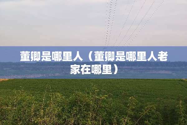 董卿是哪里人（董卿是哪里人老家在哪里）