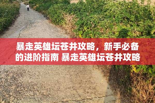 暴走英雄坛苍井攻略，新手必备的进阶指南 暴走英雄坛苍井攻略