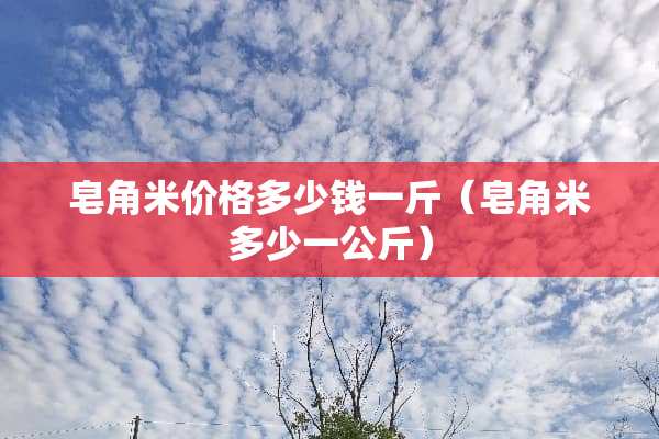 皂角米价格多少钱一斤（皂角米多少一公斤）