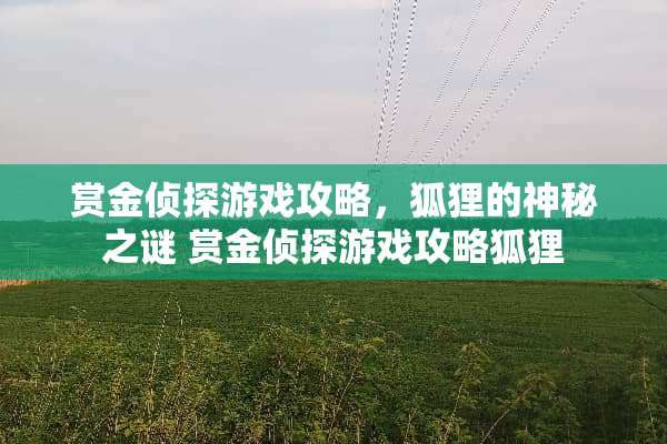 赏金侦探游戏攻略，狐狸的神秘之谜 赏金侦探游戏攻略狐狸