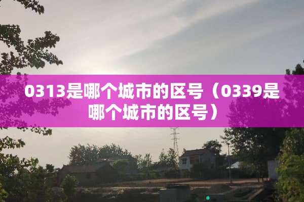 0313是哪个城市的区号（0339是哪个城市的区号）