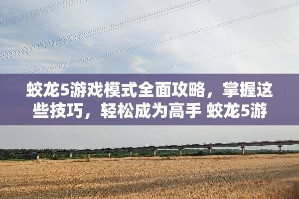蛟龙5游戏模式全面攻略,掌握这些技巧,轻松成为高手 蛟龙5游戏模式攻略 蛟龙5游戏模式全面攻略,掌握这些技巧,轻松成为高手 蛟龙5游戏模式攻略