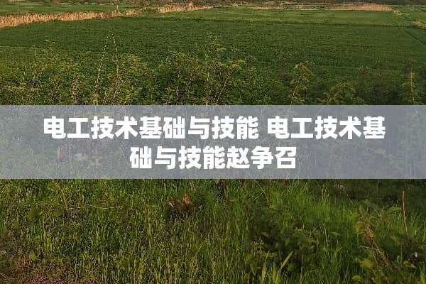 电工技术基础与技能 电工技术基础与技能赵争召