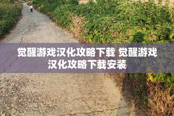 觉醒游戏汉化攻略下载 觉醒游戏汉化攻略下载安装