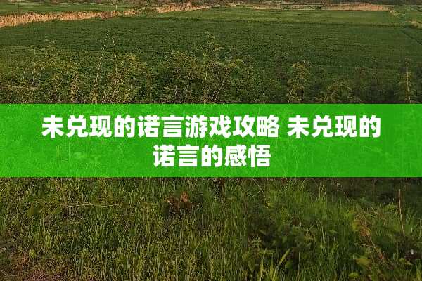 未兑现的诺言游戏攻略 未兑现的诺言的感悟 未兑现的诺言游戏攻略 未兑现的诺言的感悟
