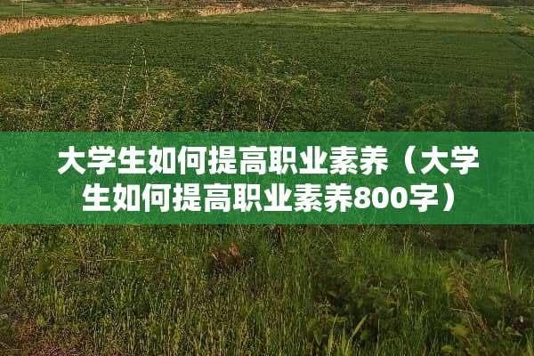 大学生如何提高职业素养（大学生如何提高职业素养800字）